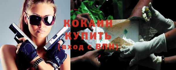 МДПВ Инсар
