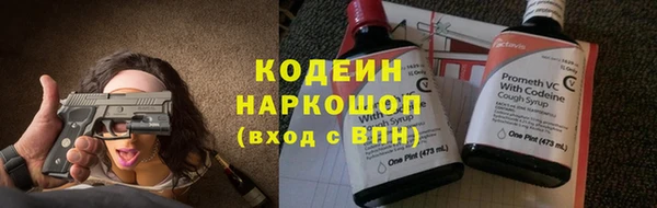 МДПВ Инсар