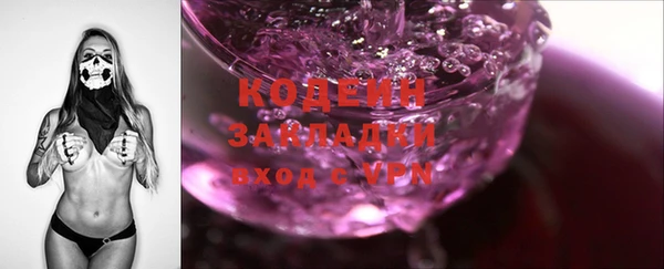МДПВ Инсар