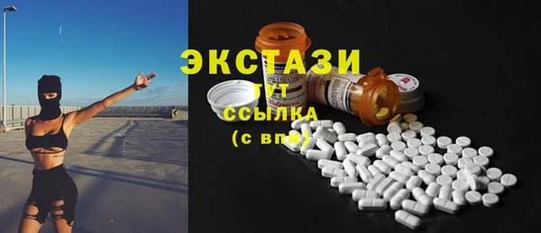 МДПВ Инсар