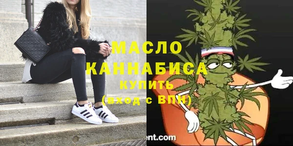 МДПВ Инсар