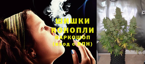 МДПВ Инсар