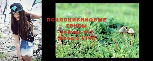 кокс Иннополис