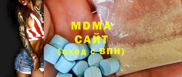 МДПВ Инсар