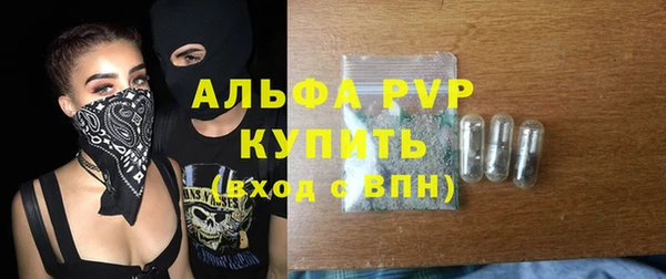 МДПВ Инсар